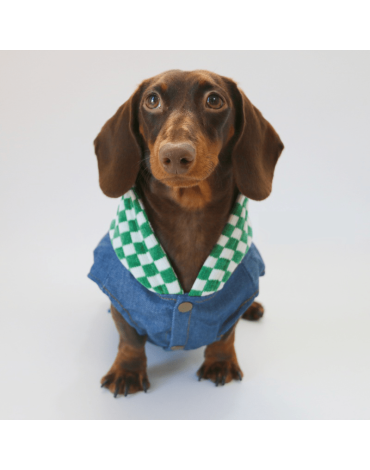 Denim Patchwork Dachshund Hoodie Jacket