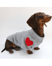 Festive Dachshund Dog Hoodie