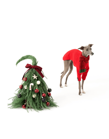 Cozy Winter Italian Greyhound Dog Jacket