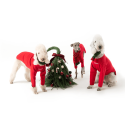 Cozy Winter Italian Greyhound Dog Jacket