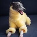 Double Fleece Italian Greyhound Onesies