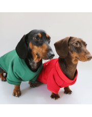 Festive Dachshund Dog Hoodie