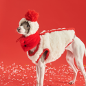 Cozy Italian Greyhound Fleece Vest
