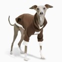 Cozy Fleece Italian Greyhound Hoodie