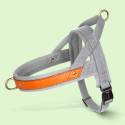 Dual Clip Control Dog Harness Vest