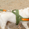 Dual Clip Control Dog Harness Vest
