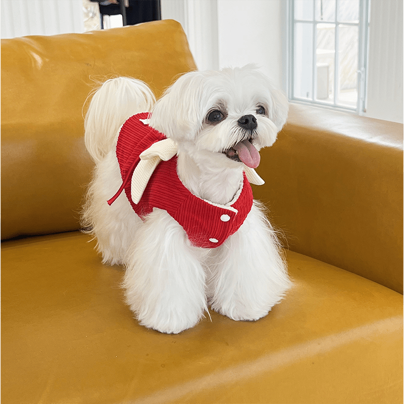 Elegant Floral Dog Formal Dress
