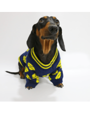 Cozy Knitted Dachshund Dog Sweater