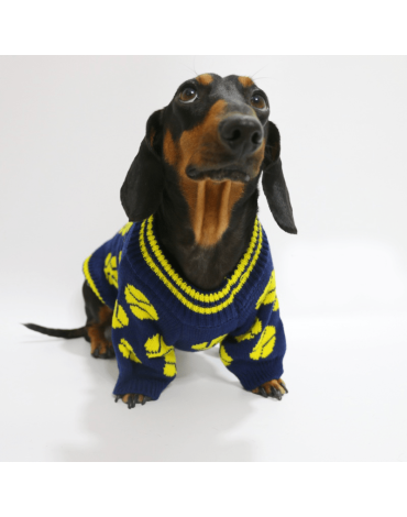 Cozy Knitted Dachshund Dog Sweater
