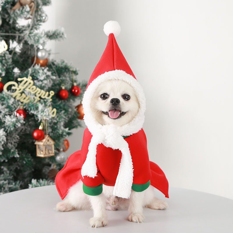 Cozy Christmas Pug Hoodie