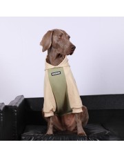 Cozy Casual Big Dog Hoodie
