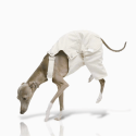 Cotton Dog Pants Clothes Pinafore Denim