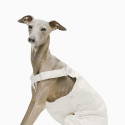 Cotton Dog Pants Clothes Pinafore Denim