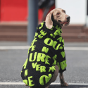 Cozy Fleece Big Dog Hoodie