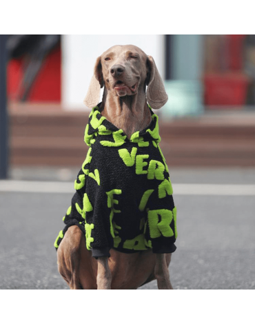 Cozy Fleece Big Dog Hoodie