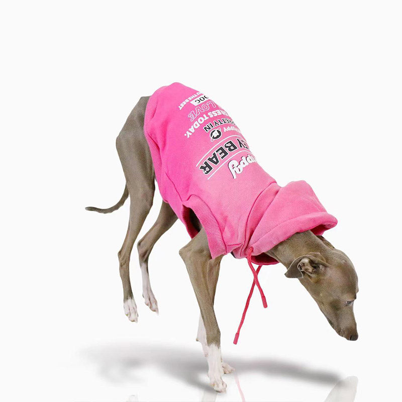 Cozy Italian Dog Cotton Hoodie