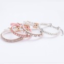 Diamond Pearl Dog Cat Luxury Collar