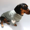 Cozy Knit Dachshund Dog Sweatshirt
