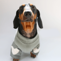 Cozy Knit Dachshund Dog Sweatshirt