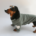 Cozy Knit Dachshund Dog Sweatshirt