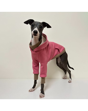 Cozy Greyhound Dog Hoodie
