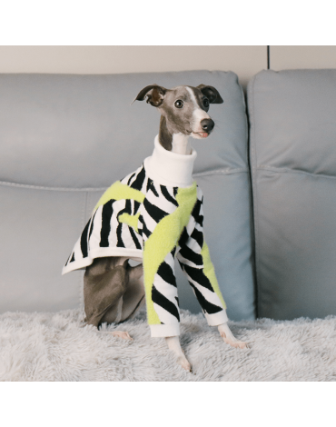 Cozy Italian Greyhound Dog Sweater