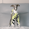 Cozy Italian Greyhound Dog Sweater