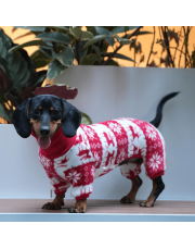 Cozy Christmas Dachshund Dog Onesies