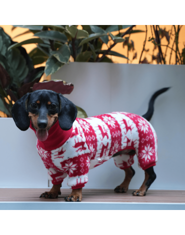 Cozy Christmas Dachshund Dog Onesies