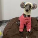 Cozy Knitted Dog Pom Beanie Hat