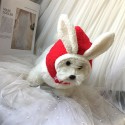 Festive Christmas Dog Fleece Hat