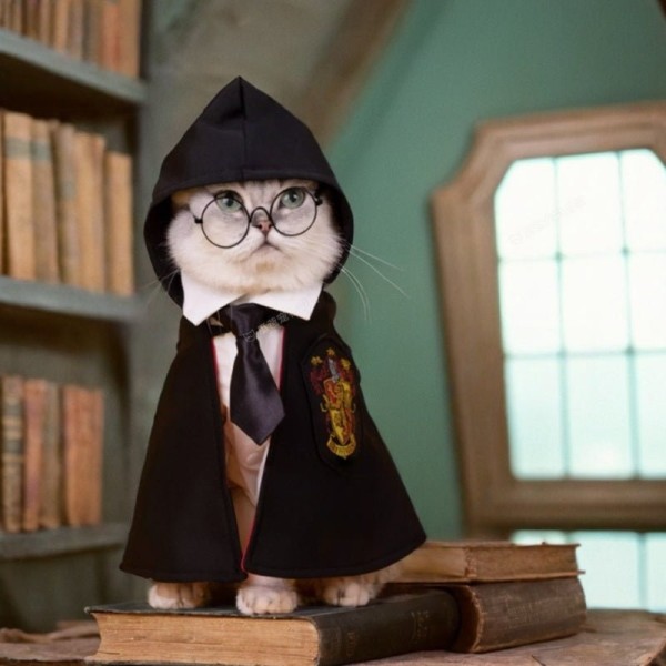 Enchanting Cat Magic Cape Harry Potter