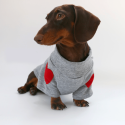 Festive Dachshund Dog Hoodie