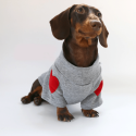 Festive Dachshund Dog Hoodie