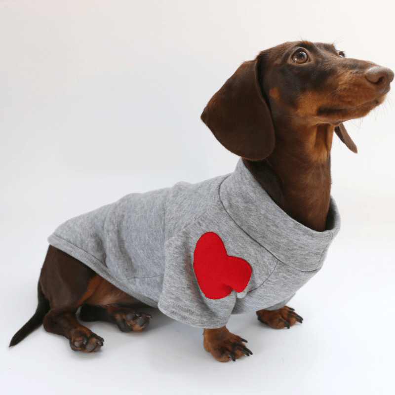 Festive Dachshund Dog Hoodie