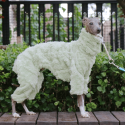Double Fleece Italian Greyhound Dog Onesies