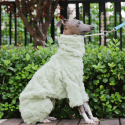 Double Fleece Italian Greyhound Dog Onesies