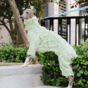 Double Fleece Italian Greyhound Dog Onesies