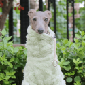 Double Fleece Italian Greyhound Dog Onesies