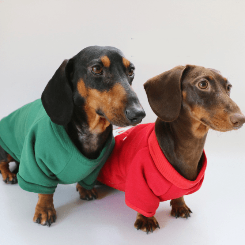 Festive Dachshund Dog Hoodie