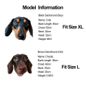 Festive Dachshund Dog Hoodie