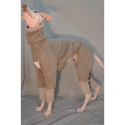 Cotton Soft Greyhound Dog Onesies