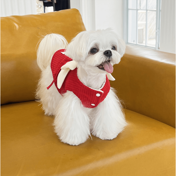 Elegant Floral Dog Formal Dress