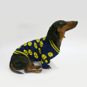 Cozy Knitted Dachshund Dog Sweater