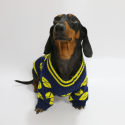 Cozy Knitted Dachshund Dog Sweater