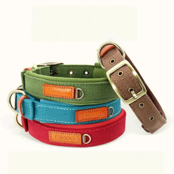 Durable Adjustable Dog Collar with ID Tag