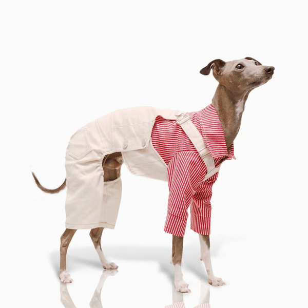 Cotton Dog Pants Clothes Pinafore Denim