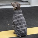 Cozy Big Dog Christmas Sweatshirt