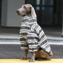 Cozy Big Dog Christmas Sweatshirt