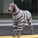 Cozy Big Dog Christmas Sweatshirt